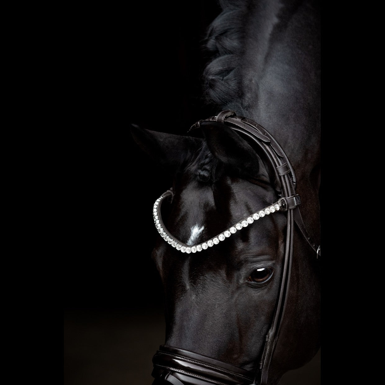 SD Design Trense Zhivago rundgenäht schwarz Lack