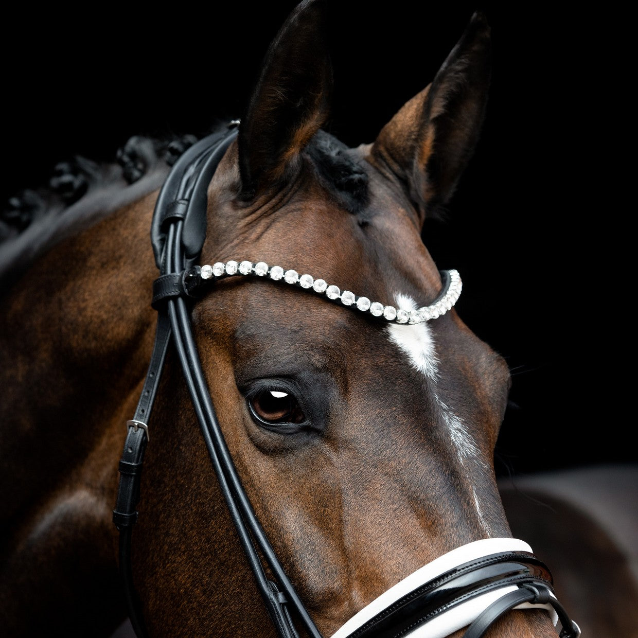 SD Design Bridle Zhivago round stitched black patent leather white lined