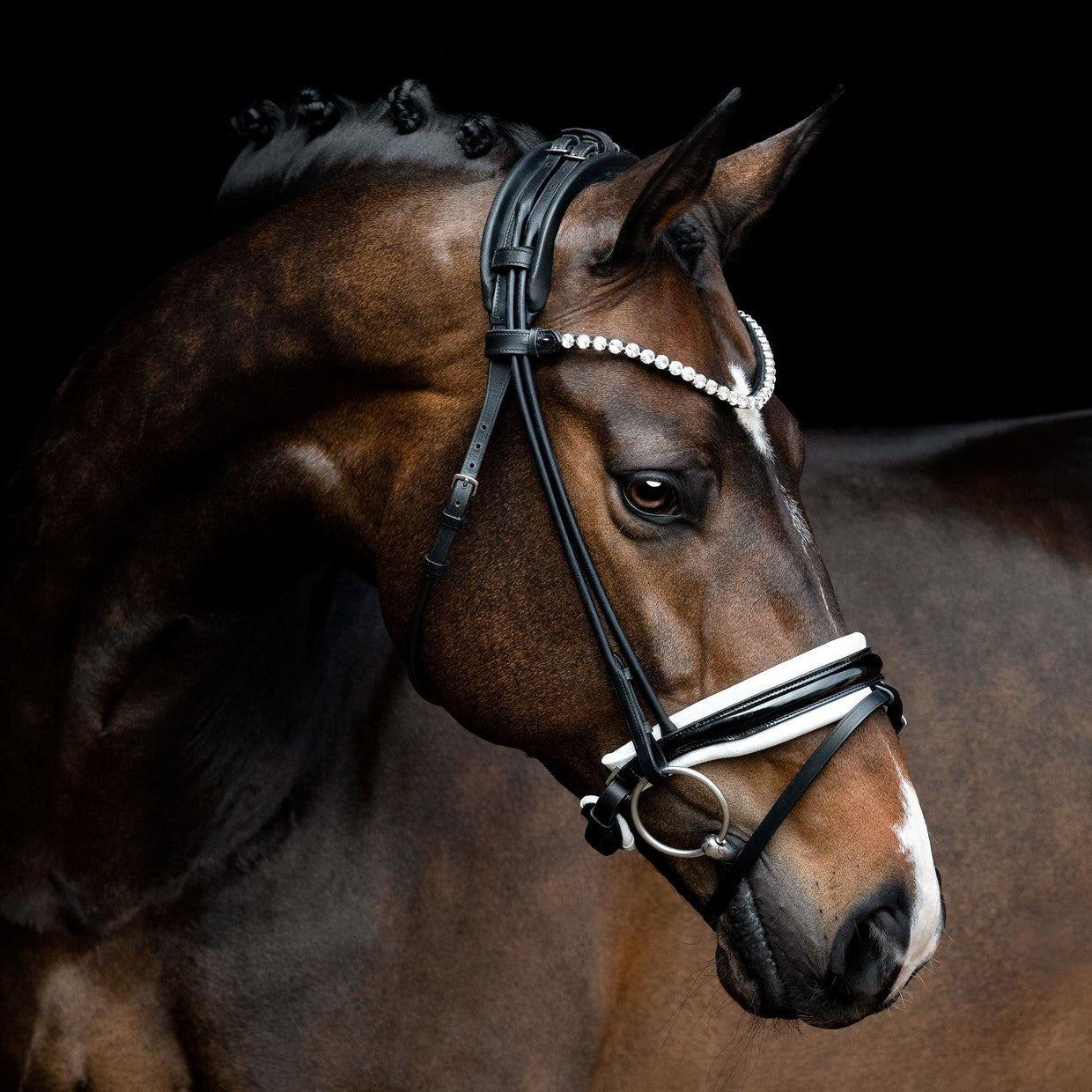 SD Design Bridle Zhivago round stitched black patent leather white lined