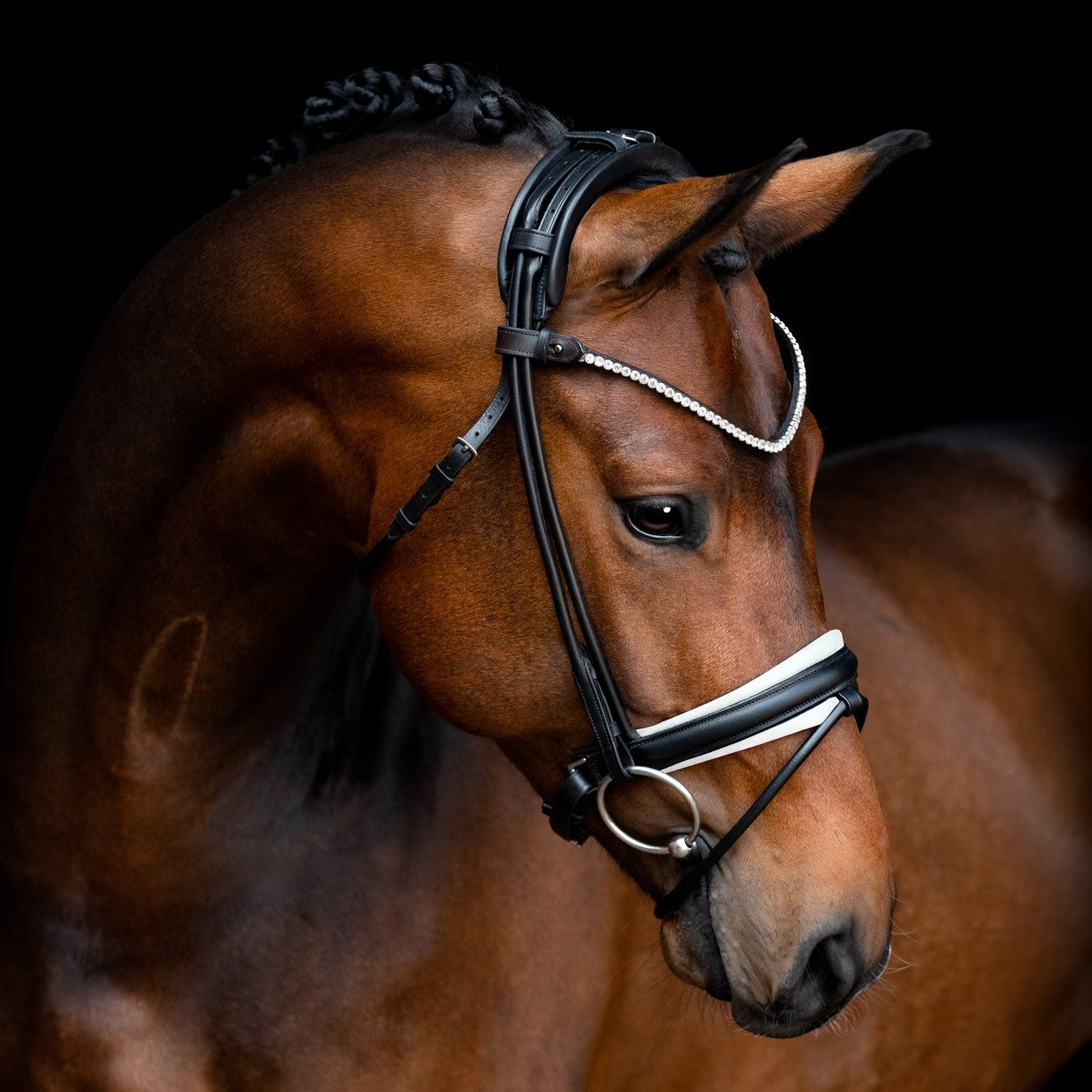 SD Design Bridle Rapsody black round stitched white lined