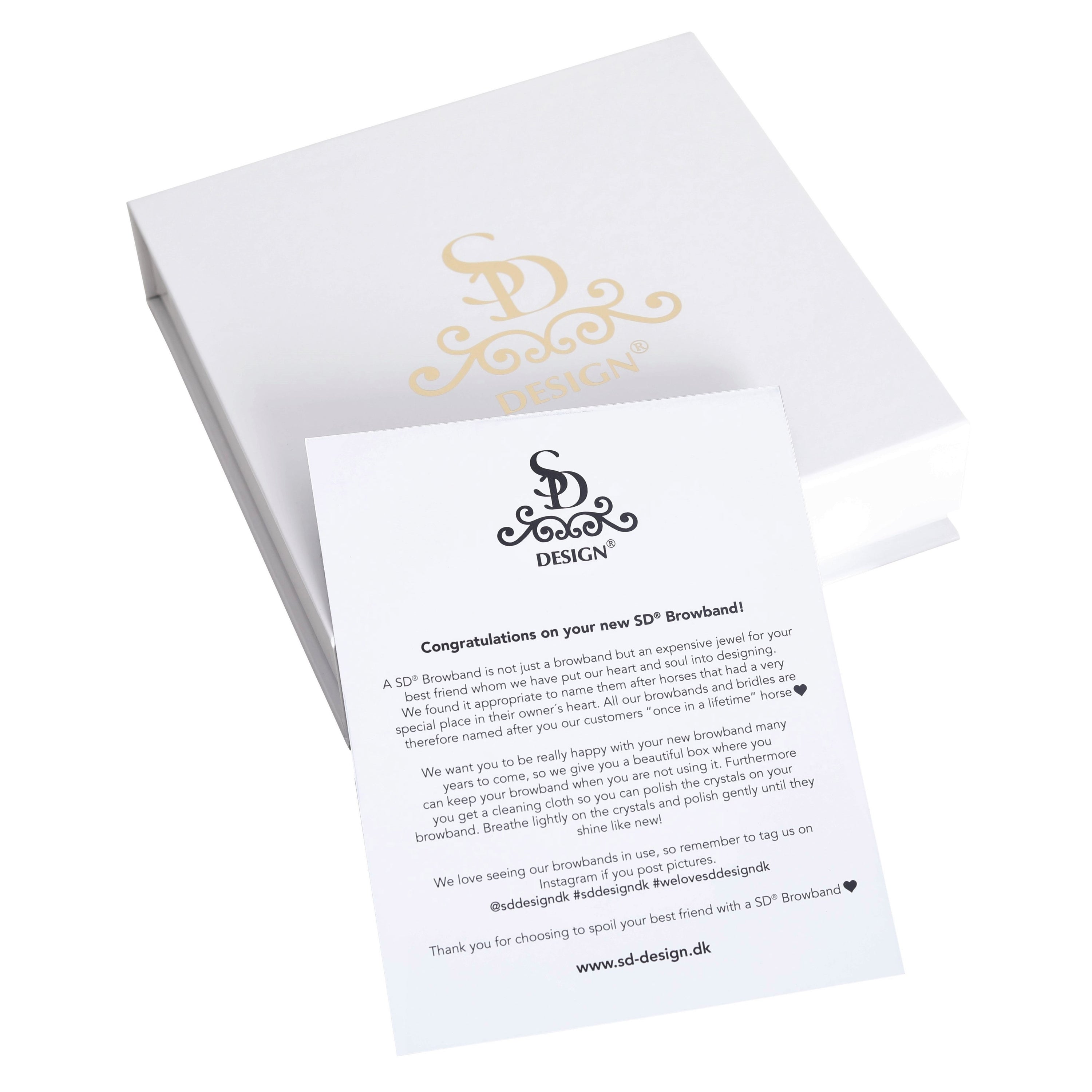 SD Design Stirnband Veneziano mit silbernen Clinchern