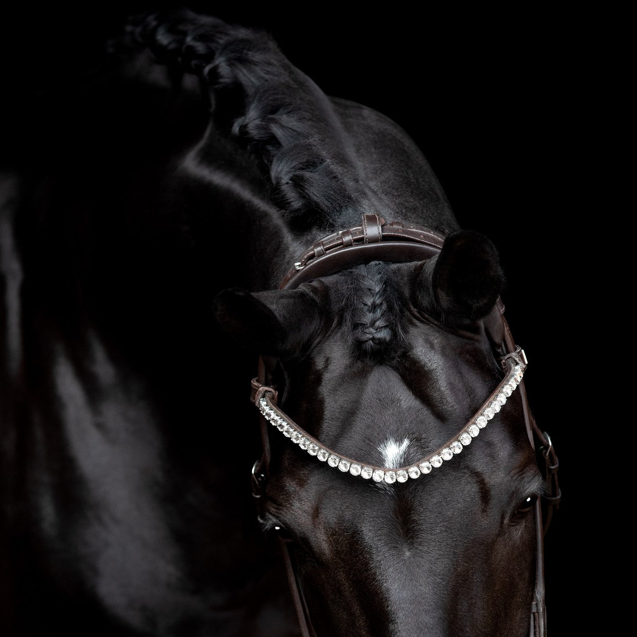 SD Design headpiece for round-stitched bridles and curb bits brown