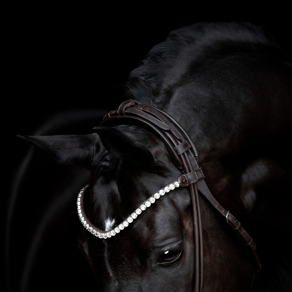 SD Design headpiece for round-stitched bridles and curb bits brown