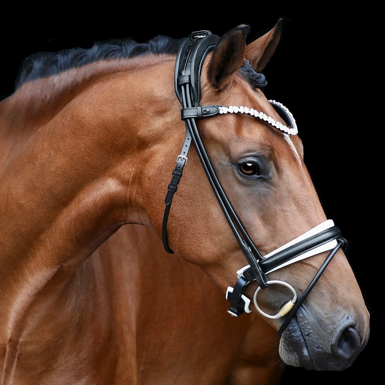 SD Design Bridle Romanov black round stitched white lined