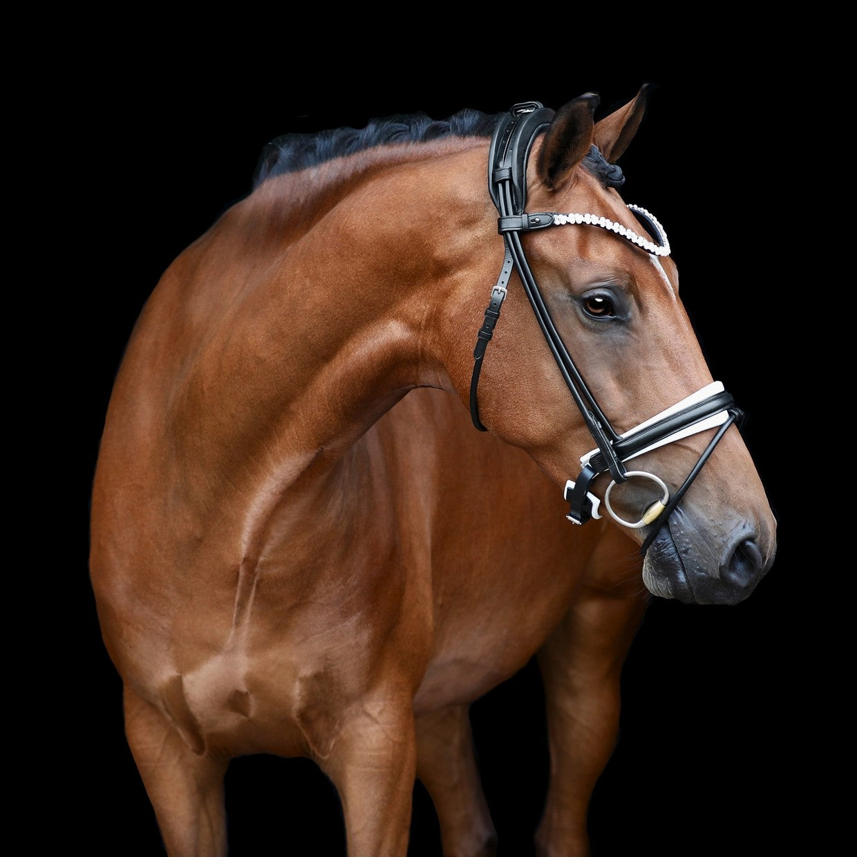 SD Design Bridle Romanov black round stitched white lined