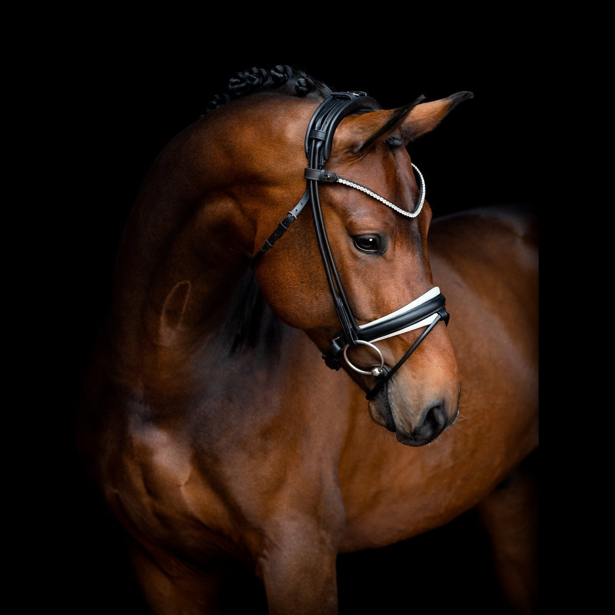SD Design noseband Swedish combined black round stitched white lined