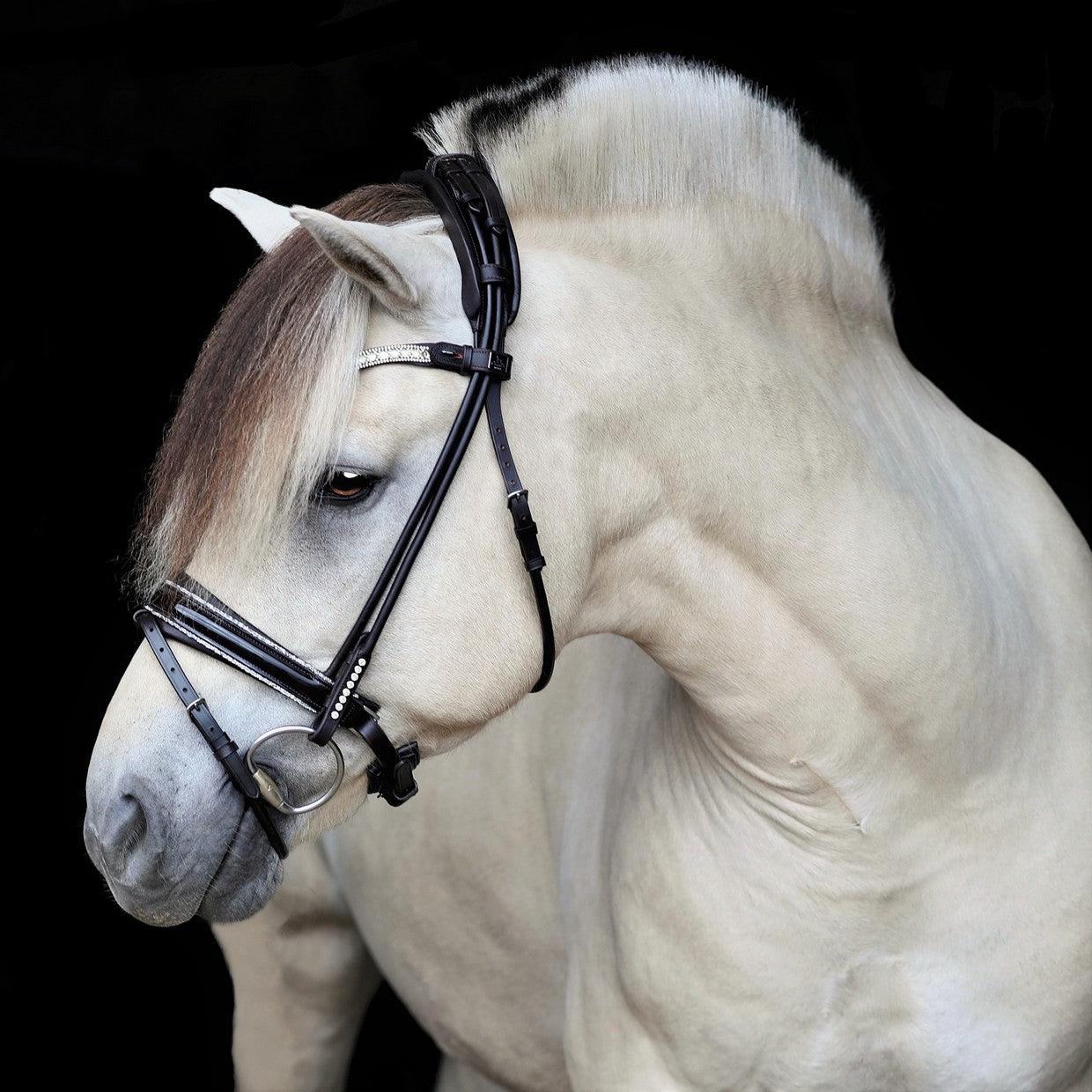 SD Design noseband Swedish combined round stitched black patent with crystal rocks decorative piping
