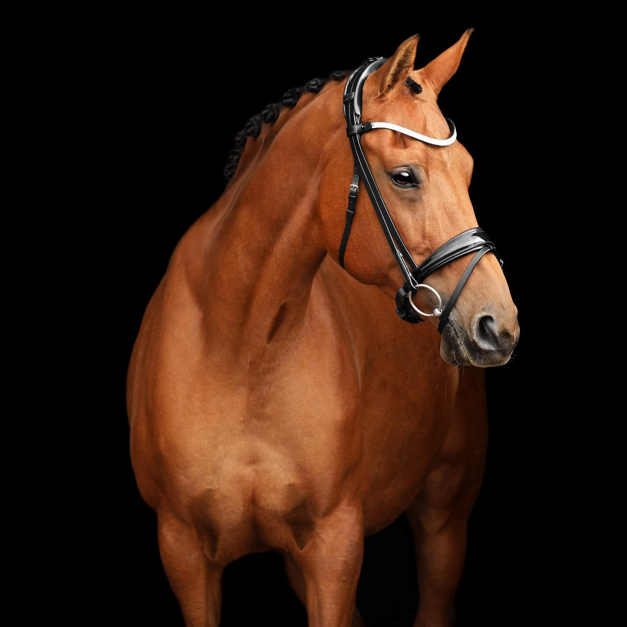 SD Design Bridle Cornetto black patent