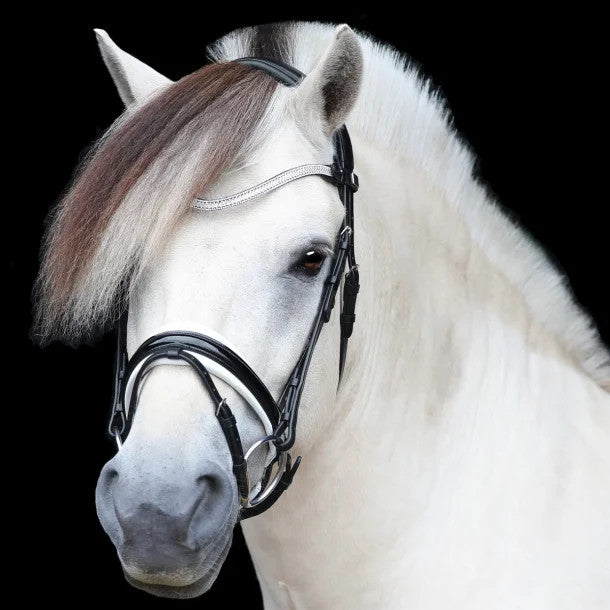 SD Design Bridle Gracieux black patent with white lining