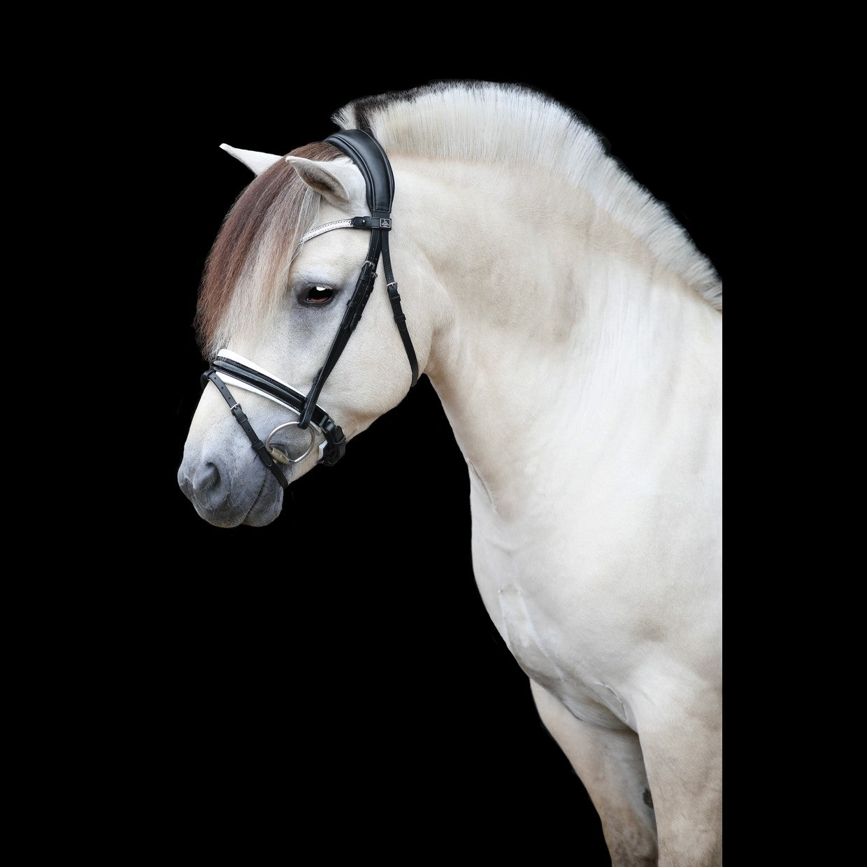 SD Design Bridle Gracieux black patent with white lining