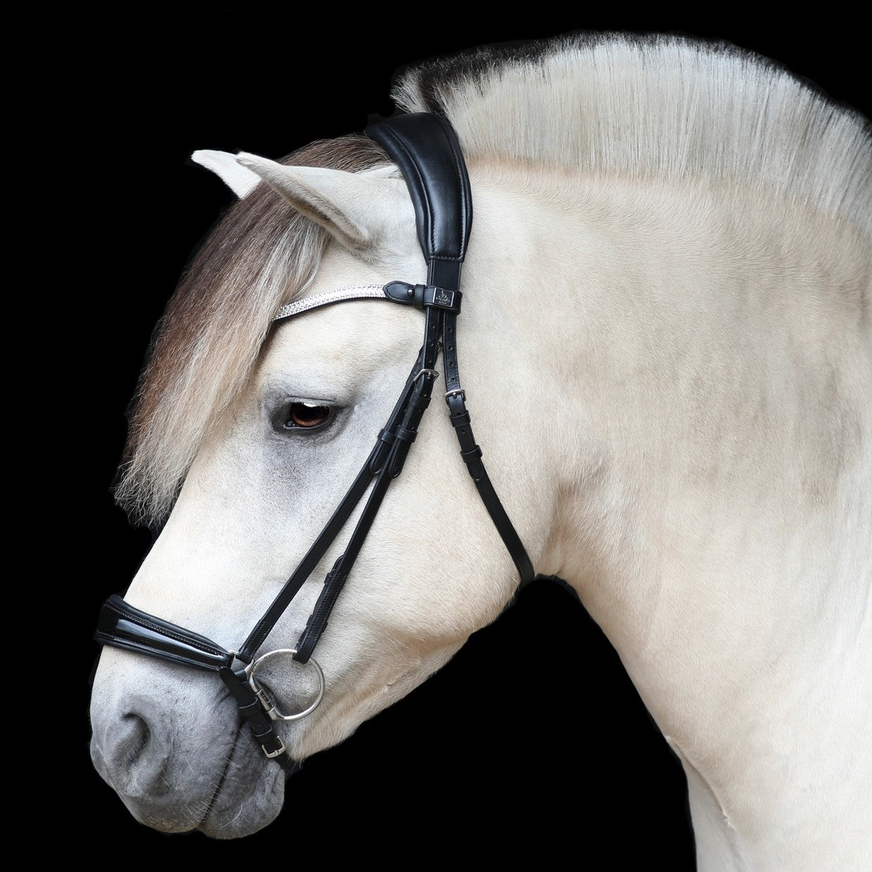 SD Design Bridle Gracieux Hanoverian black patent