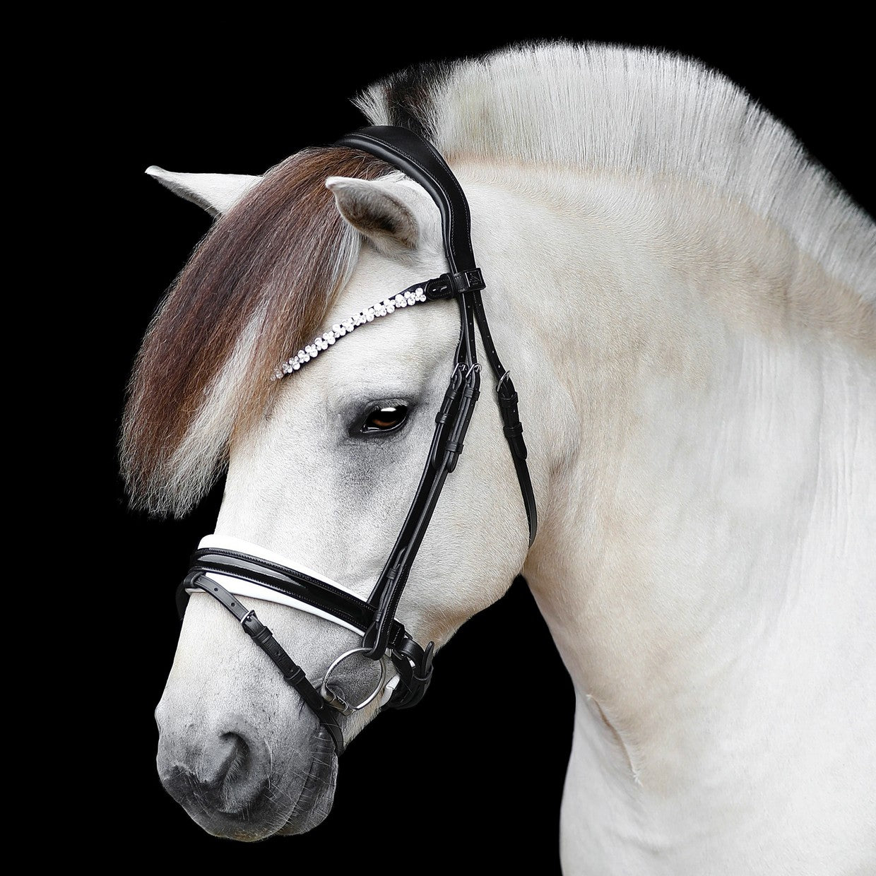 SD Design Bridle Romanov black lacquer white lined