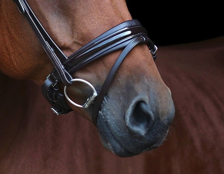 SD Design noseband Swedish combined patent brown