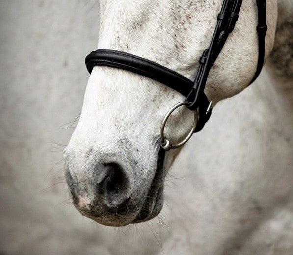 SD Design Leerox English noseband combined with removable flash strap black