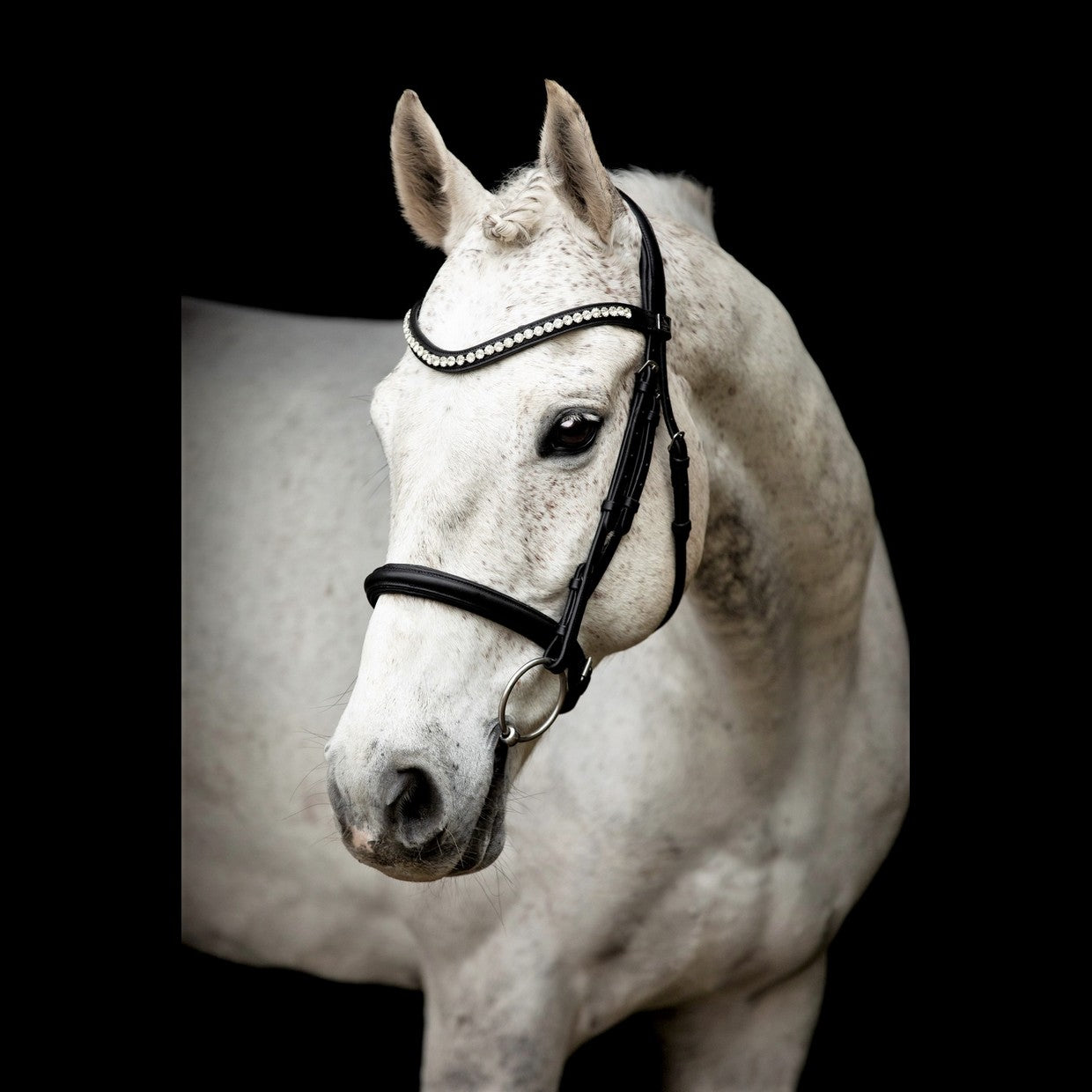 SD Design Leerox English noseband combined with removable flash strap black