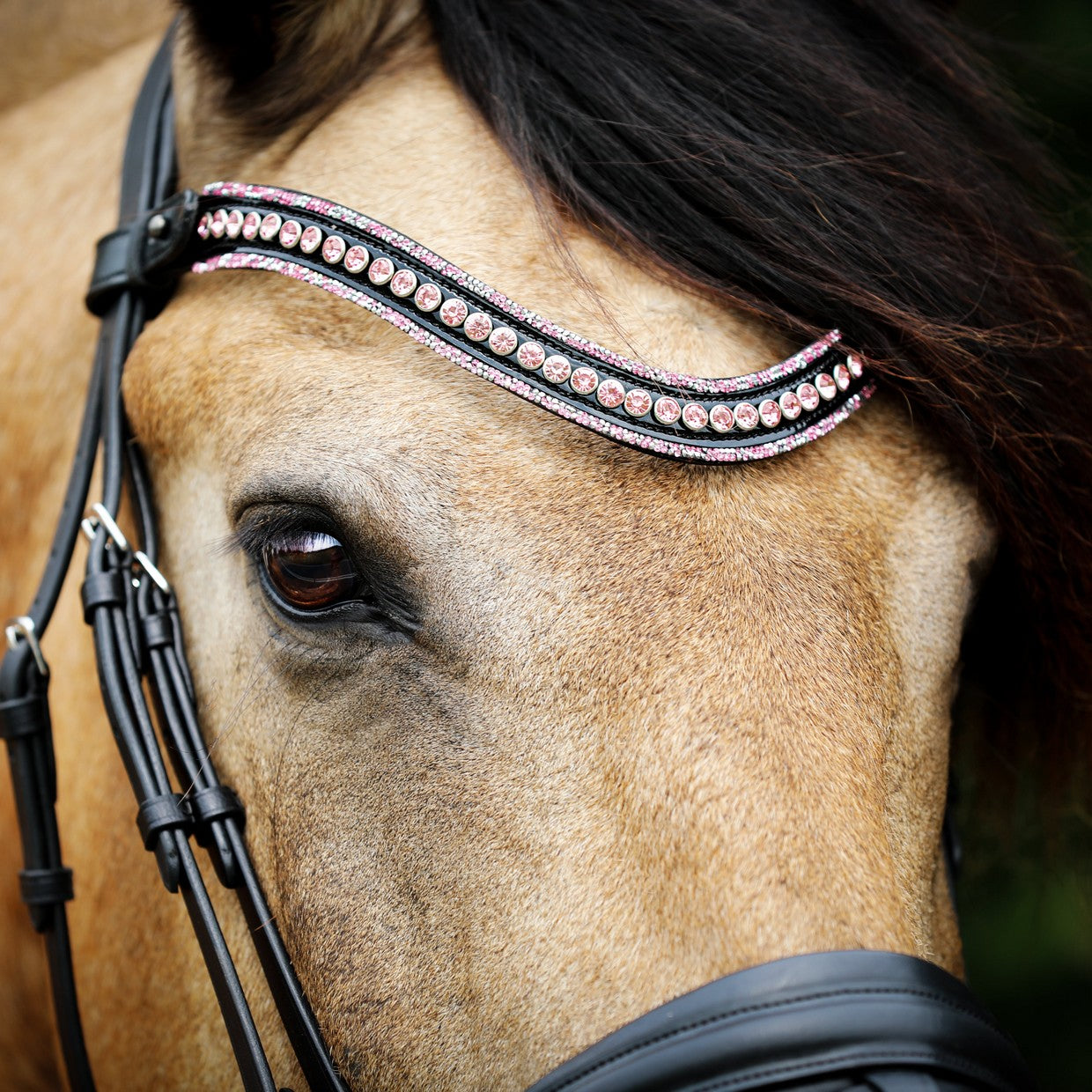 SD Design headband Diamond Extreme rose