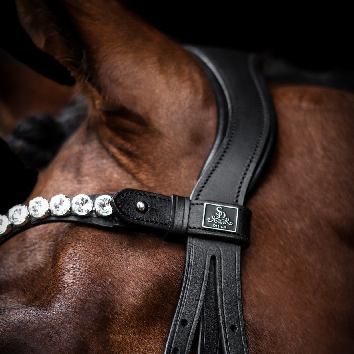 SD Design Bridle L&