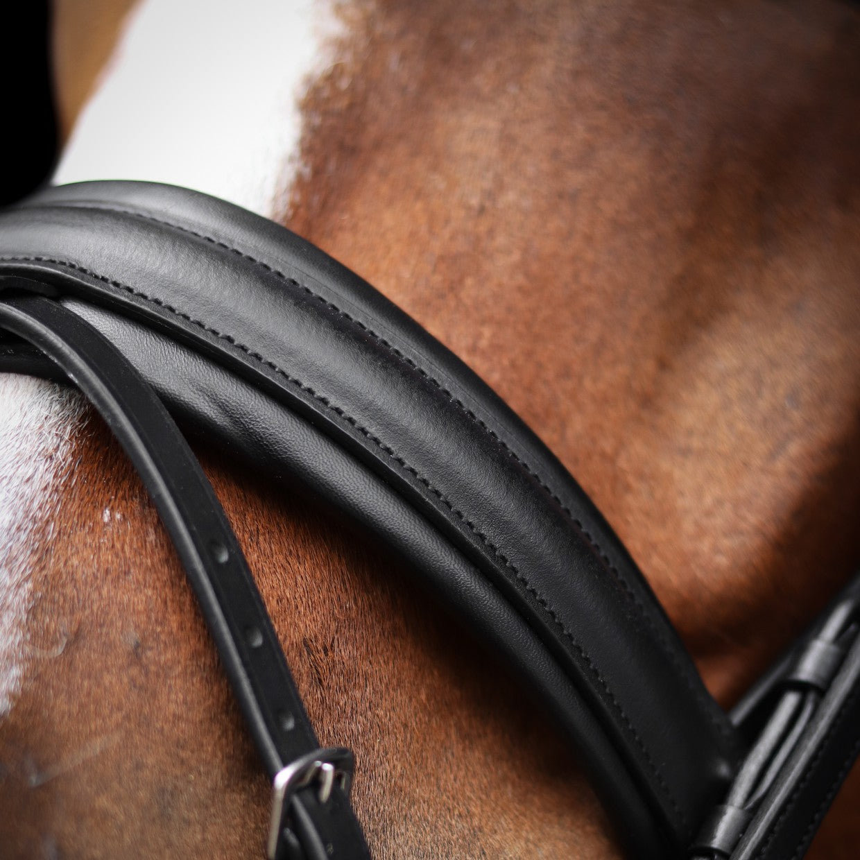 SD Design Bridle L&