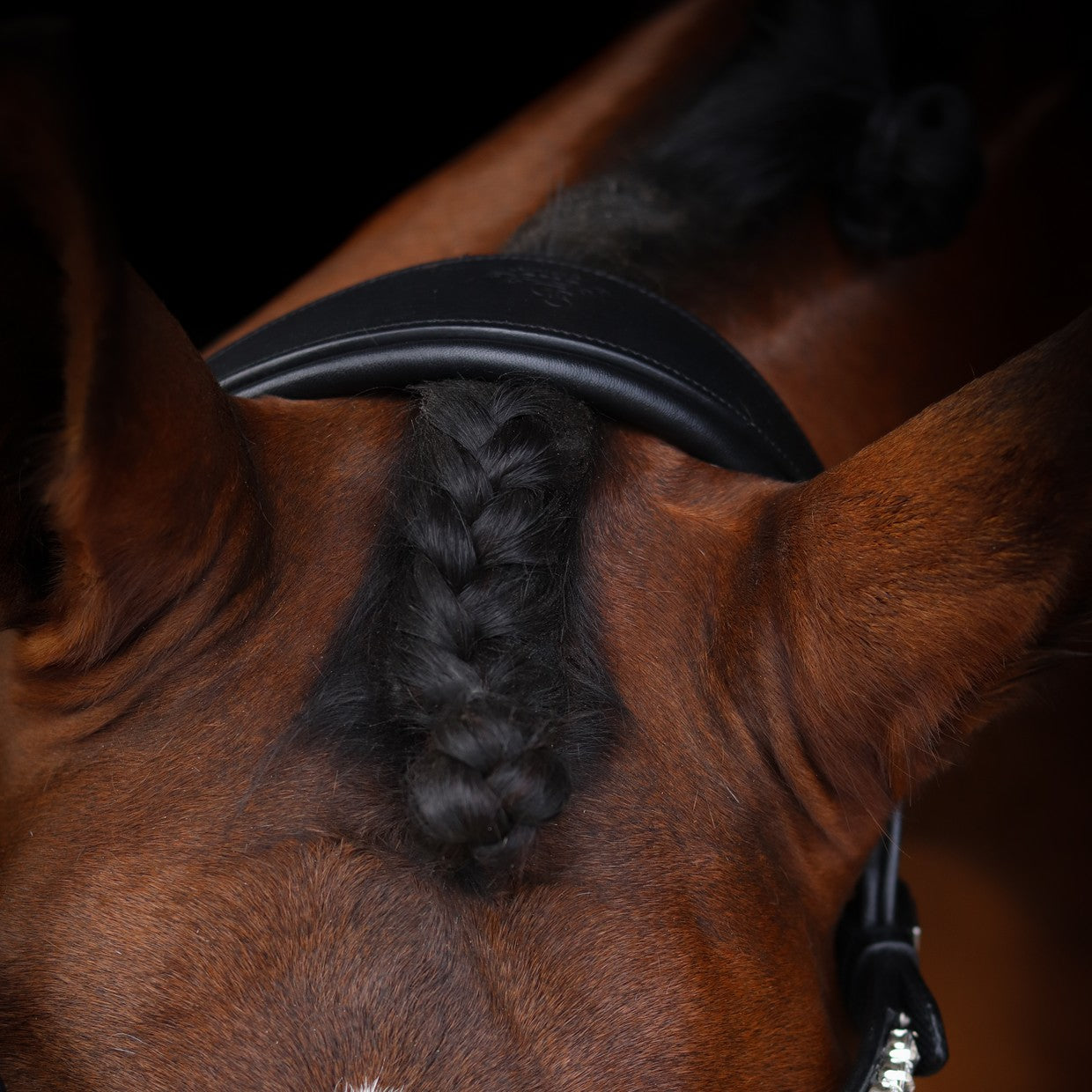 SD Design Bridle L&