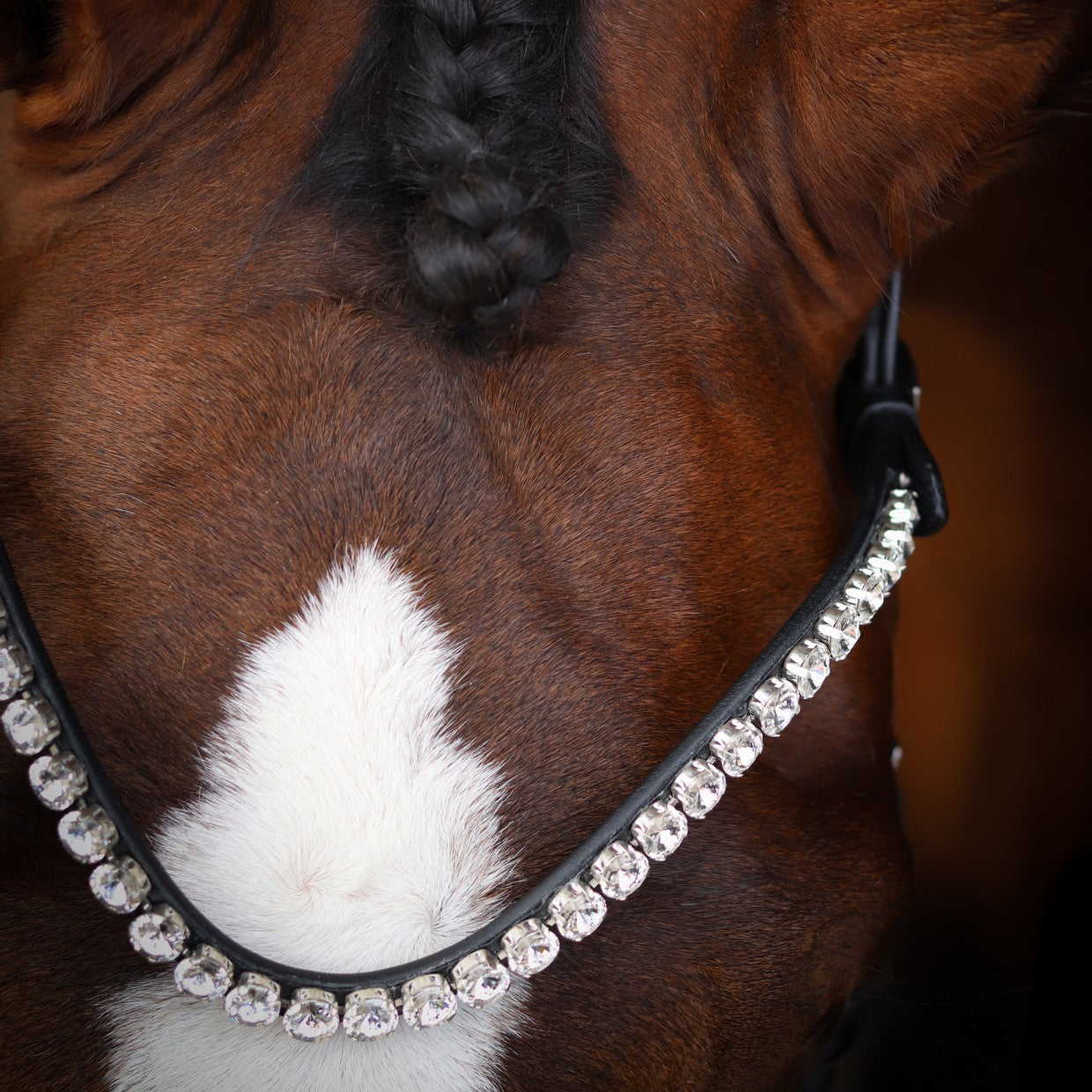 SD Design Bridle L&