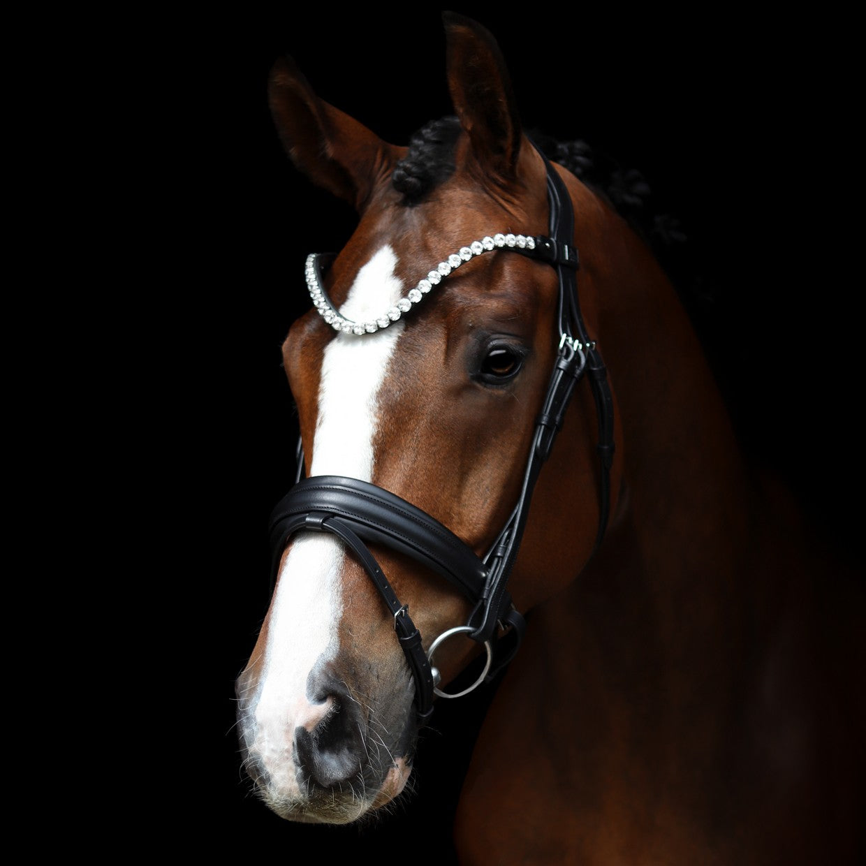 SD Design Bridle L&