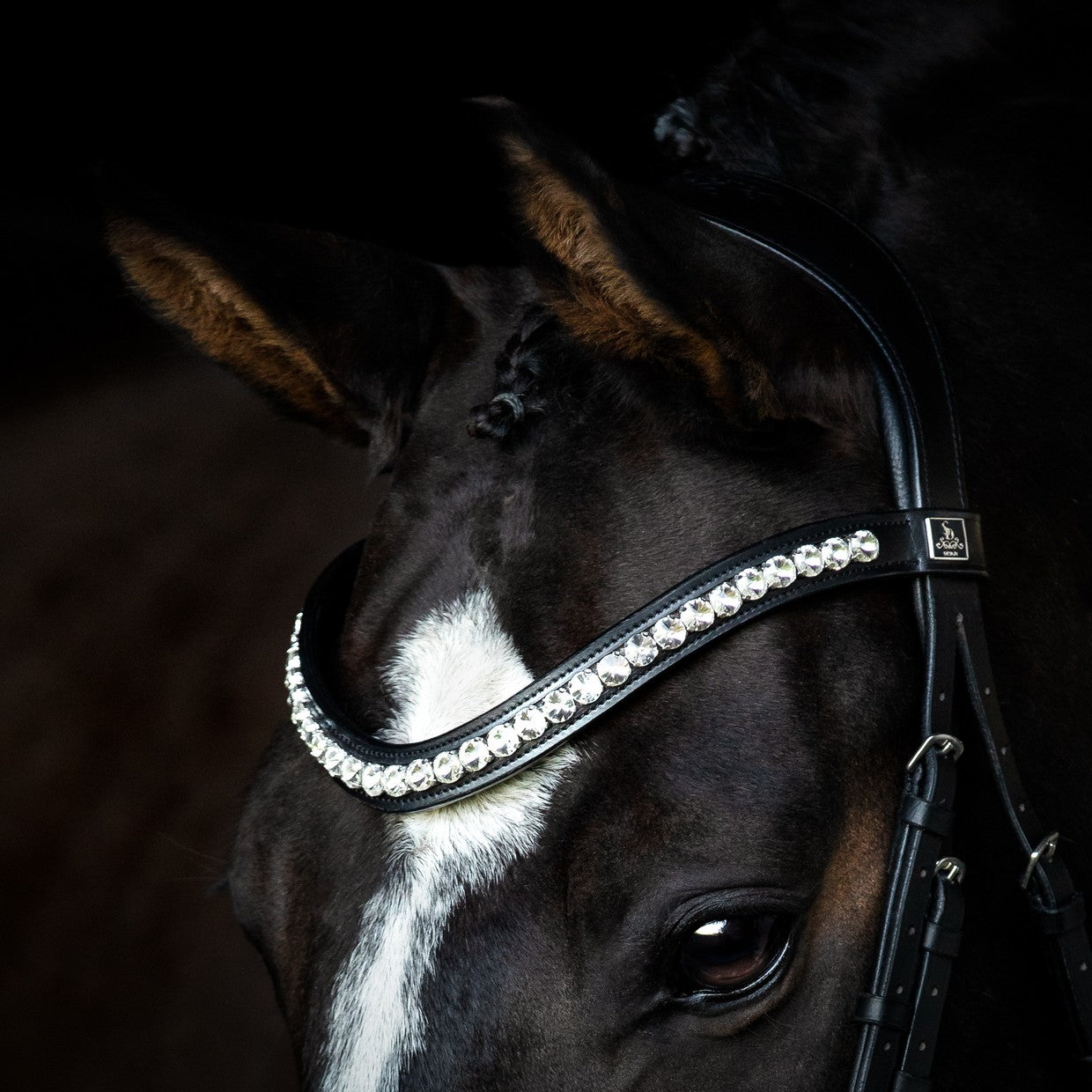 SD Design Bridle Belissimo black and white lined