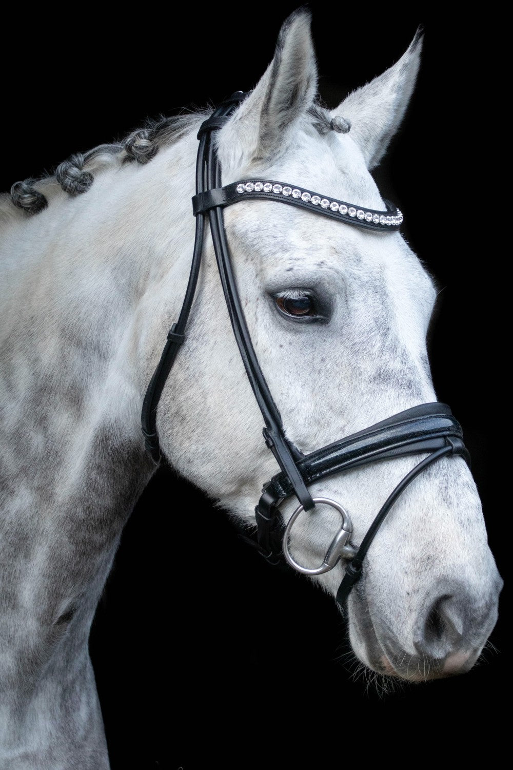 SD Design Bridle Mystery round stitched black glitter varnish black lining