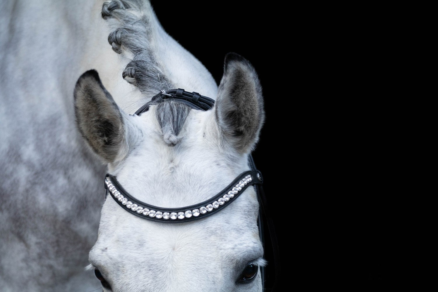 SD Design Bridle Mystery round stitched black glitter varnish black lining