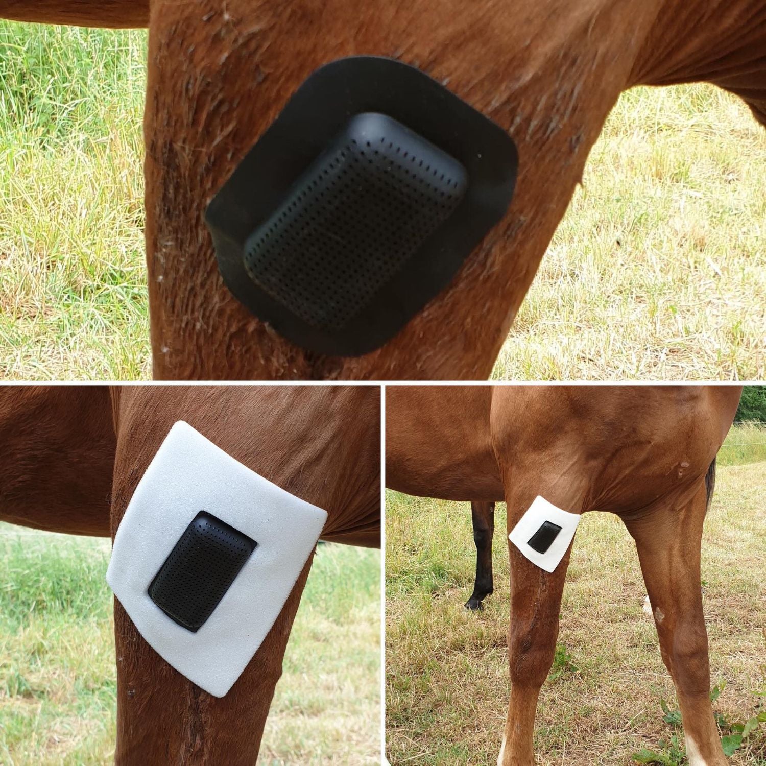 Rheva wound protection plaster for horses 5 cm x 7 cm small