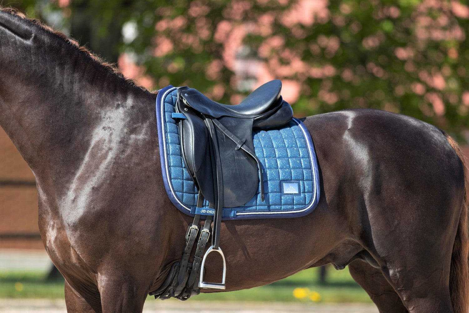 SD Design saddle pad Hollywood Glamorous blueberry twinkles