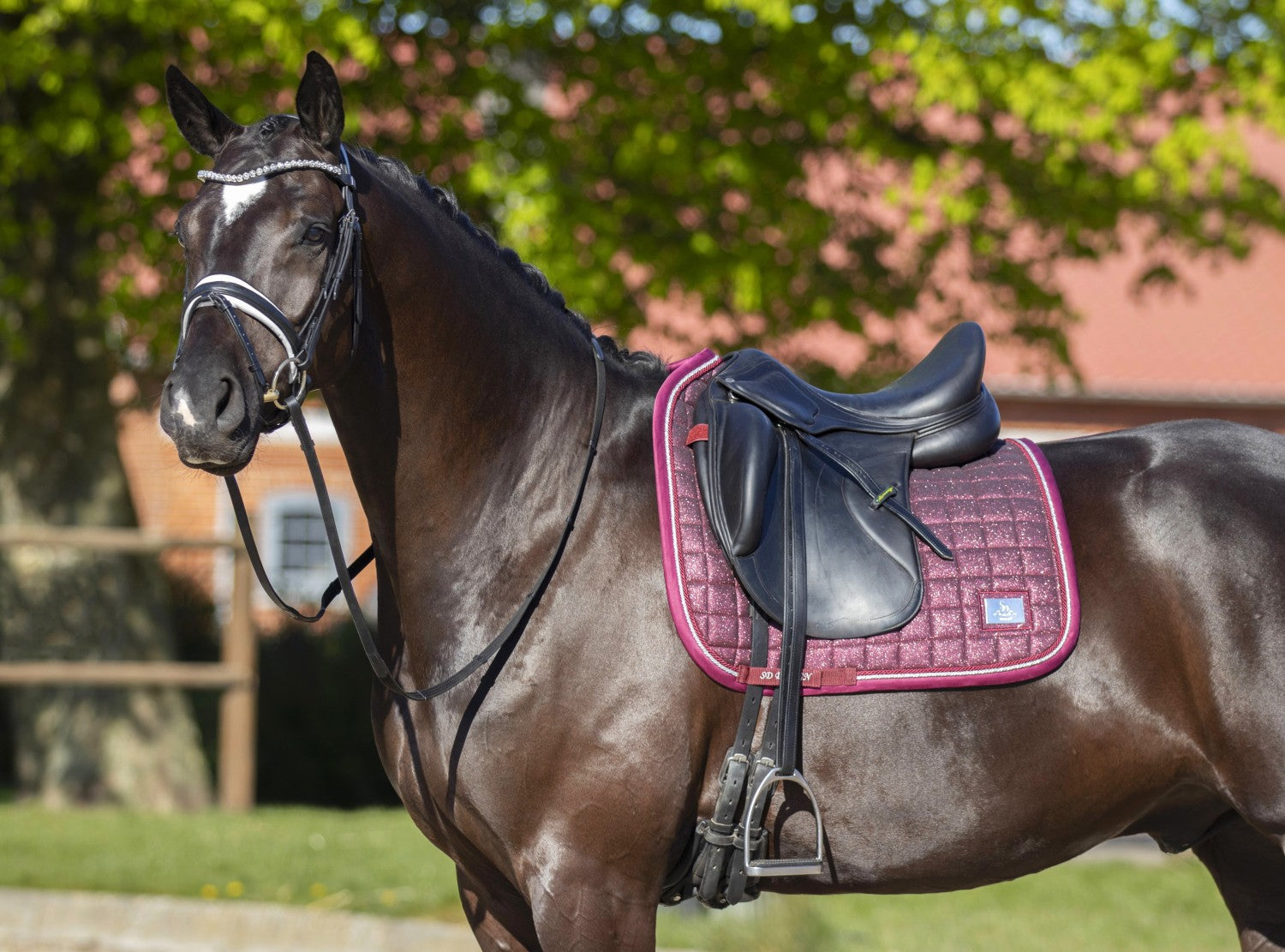 SD Design saddle pad Hollywood Glamorous raspberry shimmer