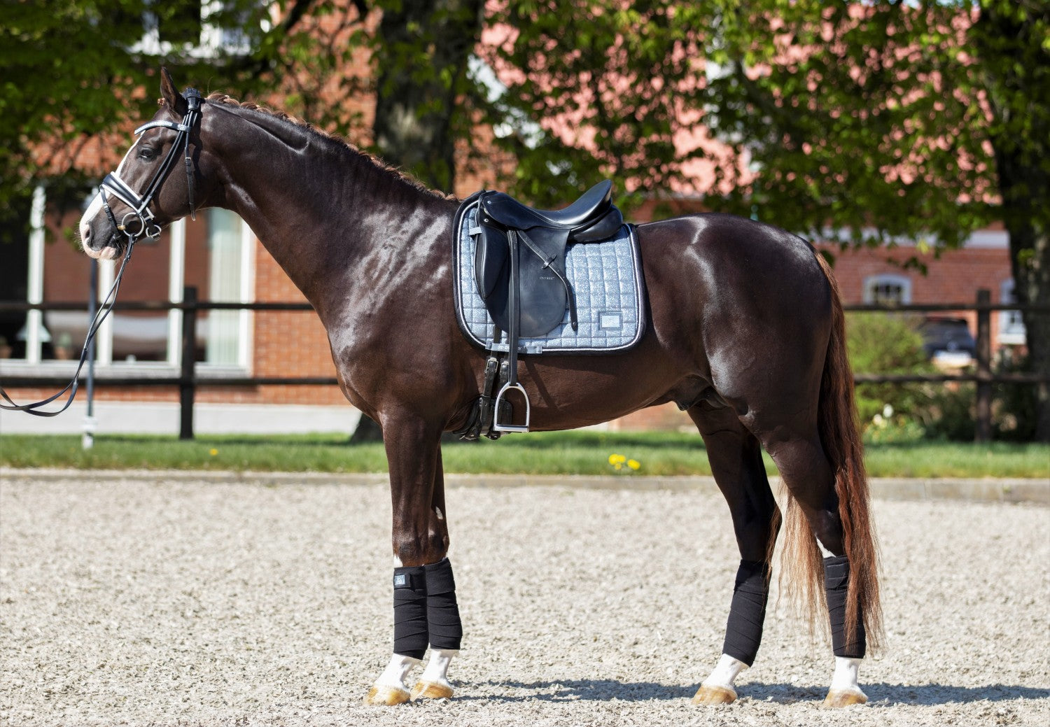 SD Design saddle pad Hollywood Glamorous dark shadow glitz