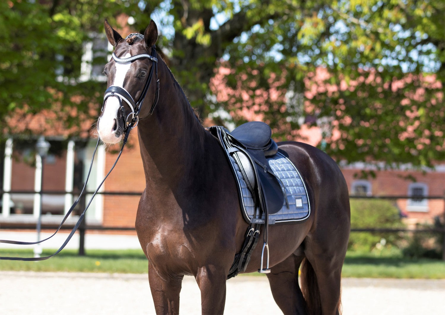 SD Design saddle pad Hollywood Glamorous dark shadow glitz