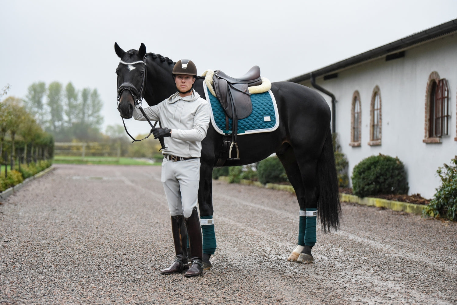 SD Design saddle pad Be Tempted shamrock cupcake