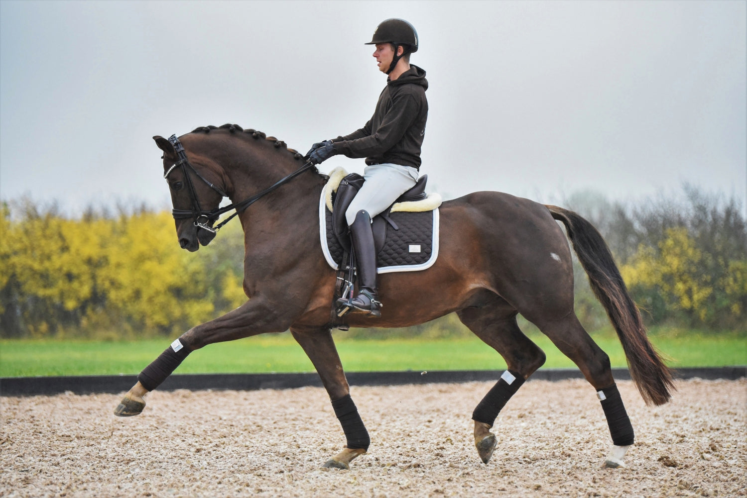 SD Design saddle pad Be Tempted chocolate macaron