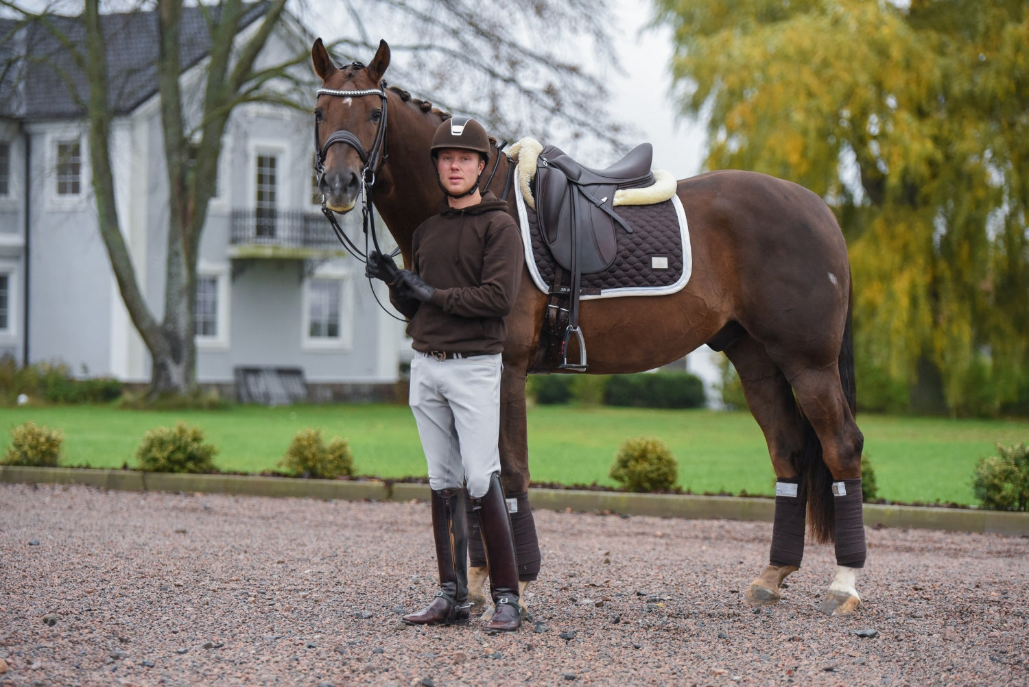 SD Design saddle pad Be Tempted chocolate macaron