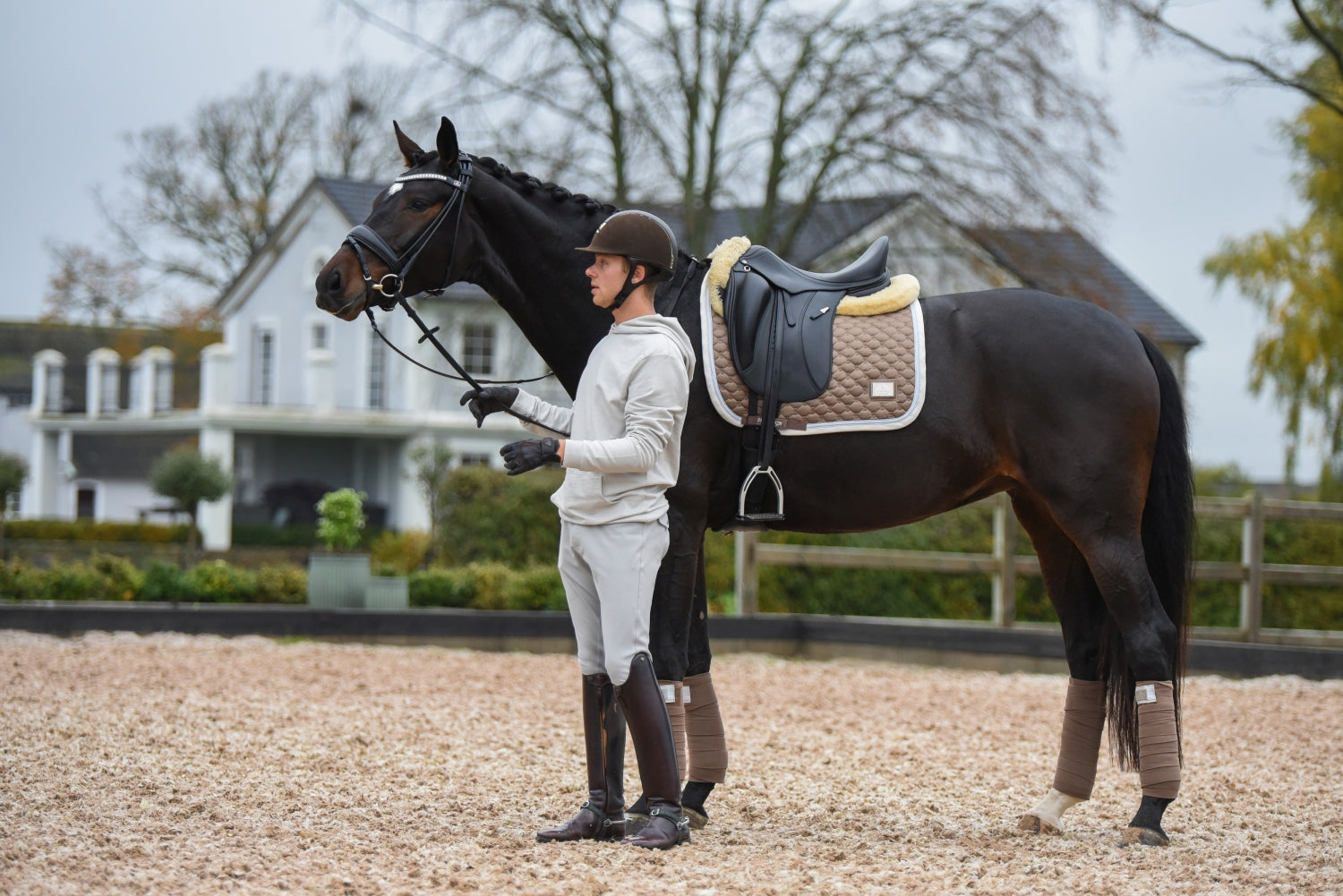 SD Design saddle pad Be Tempted nougatmousse