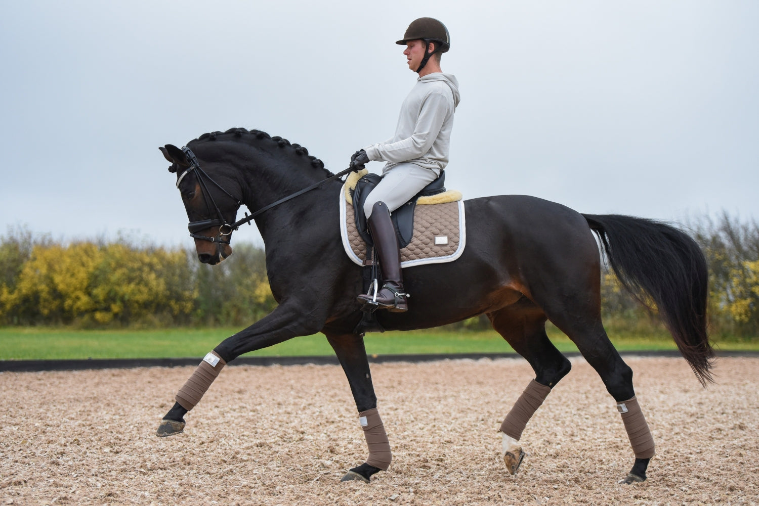SD Design saddle pad Be Tempted nougatmousse