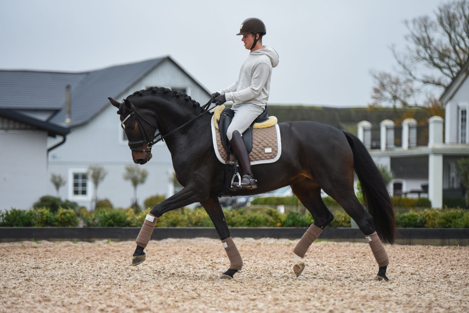 SD Design saddle pad Be Tempted nougatmousse