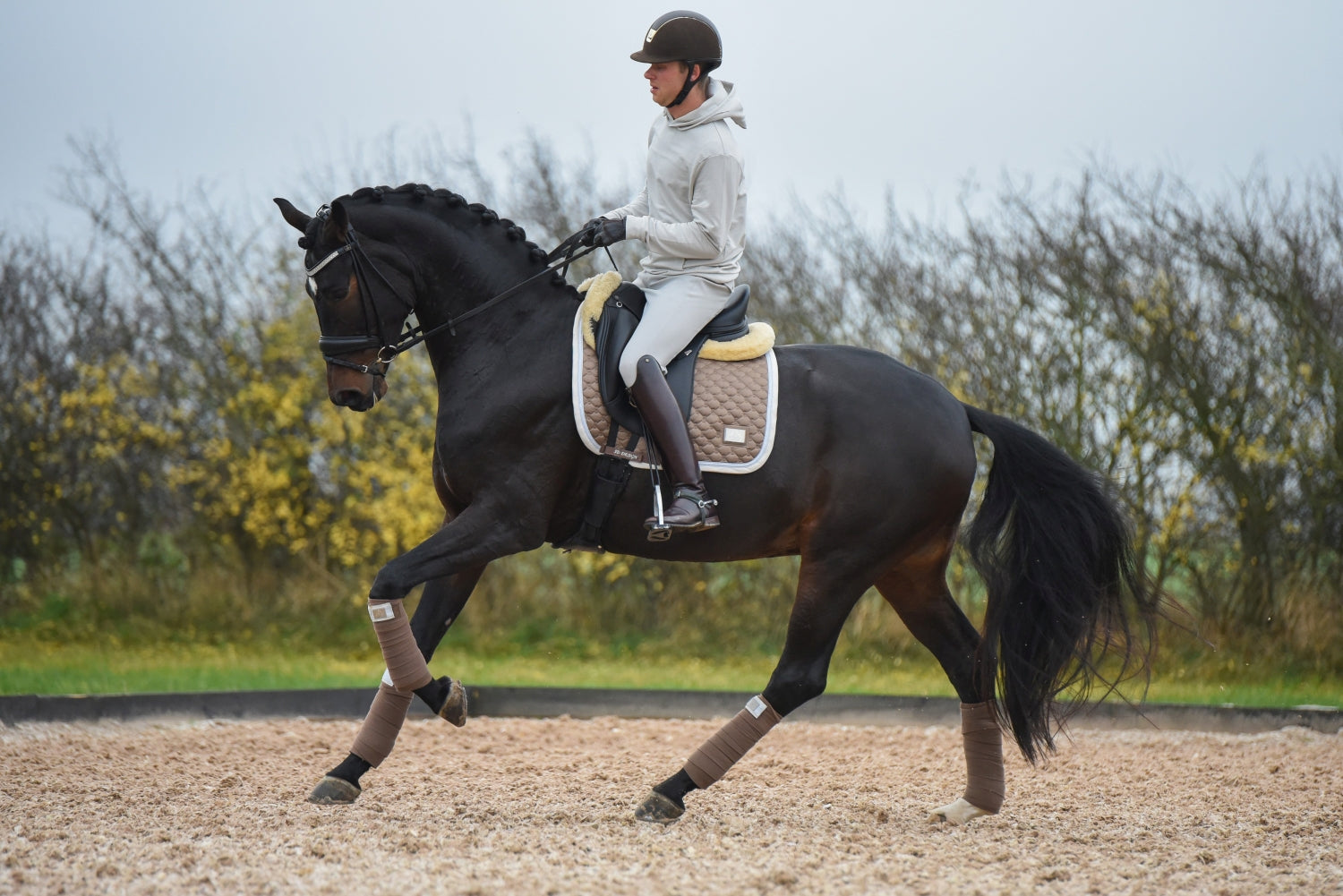 SD Design saddle pad Be Tempted nougatmousse