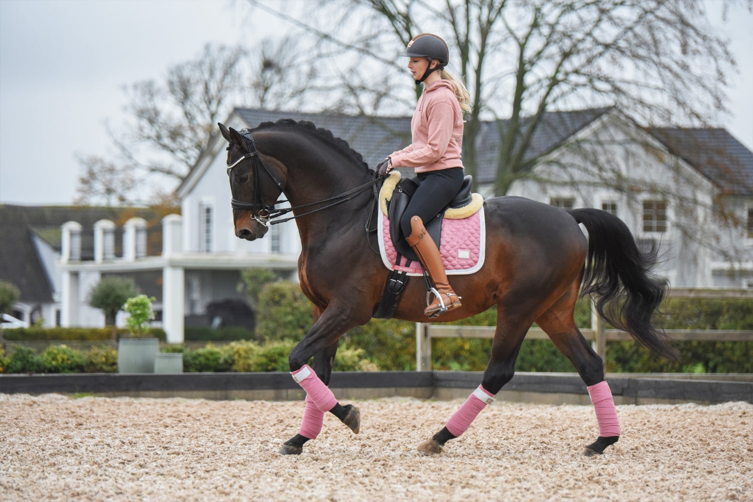 SD Design saddle pad Be Tempted candyfloss