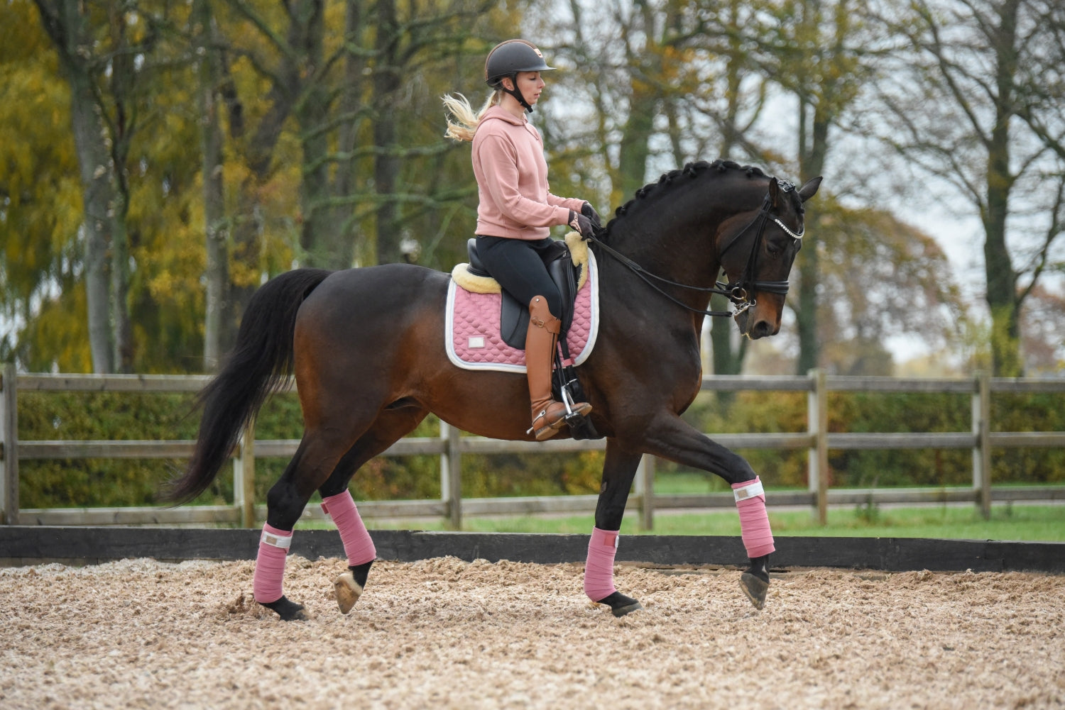 SD Design saddle pad Be Tempted candyfloss