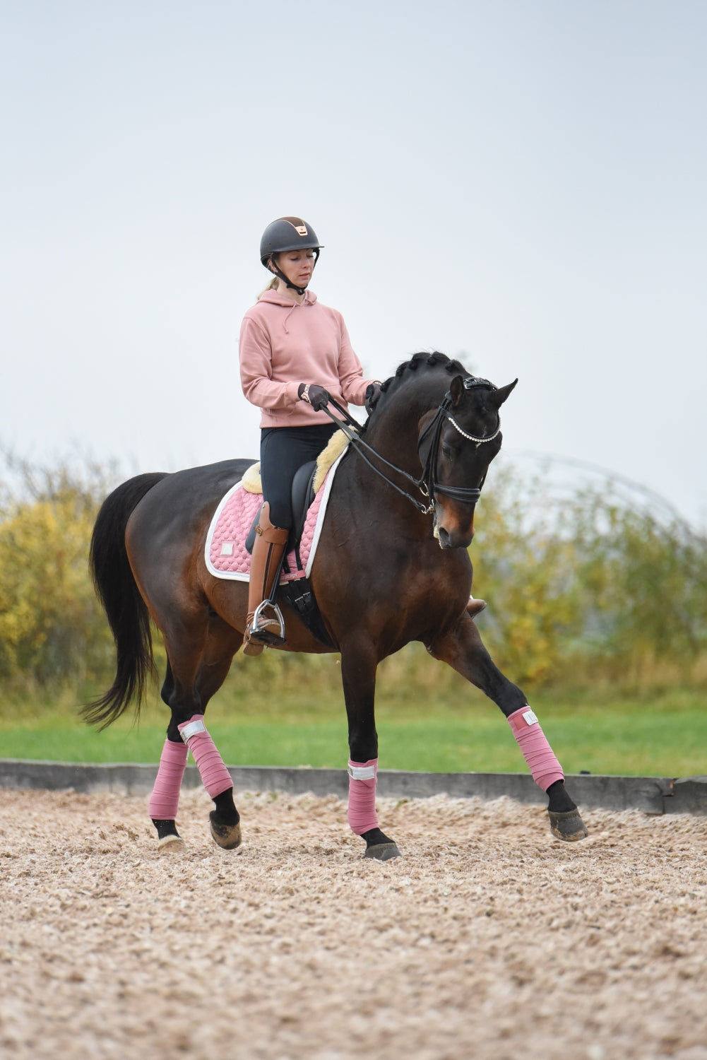 SD Design saddle pad Be Tempted candyfloss