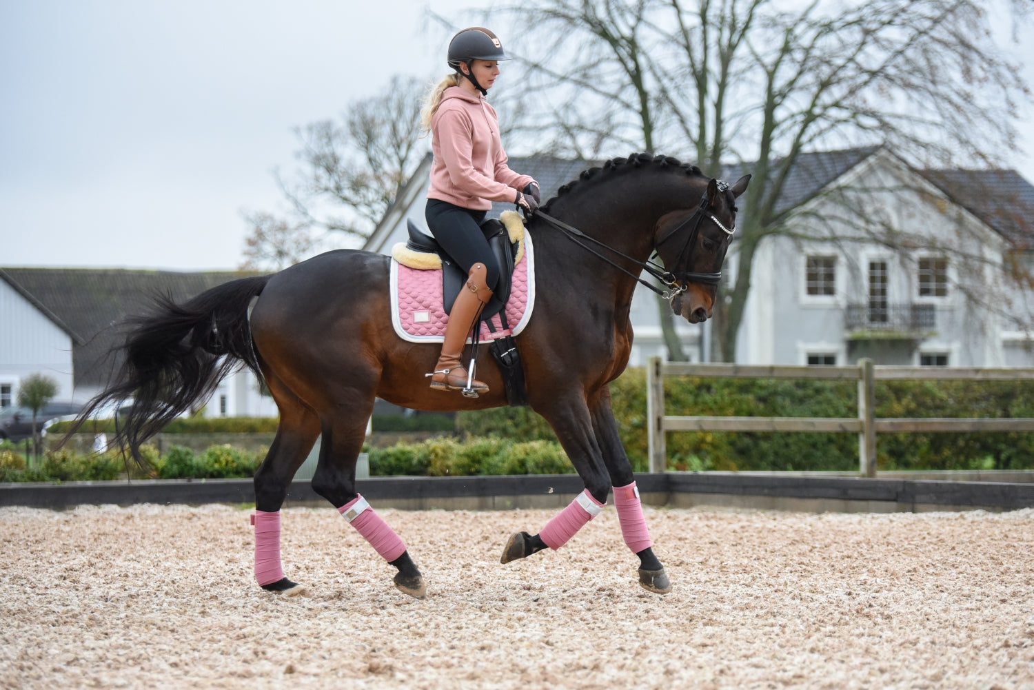 SD Design saddle pad Be Tempted candyfloss