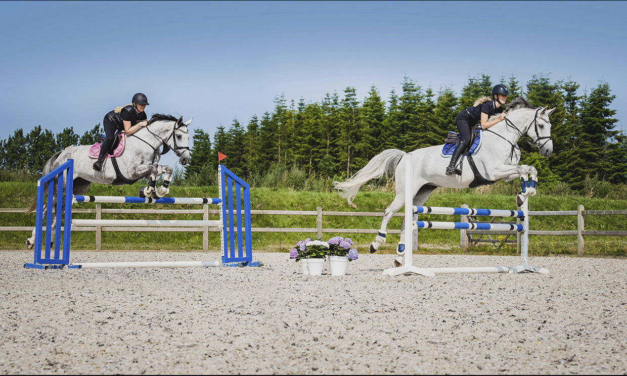 SD Design saddle pad My Passion divine rose
