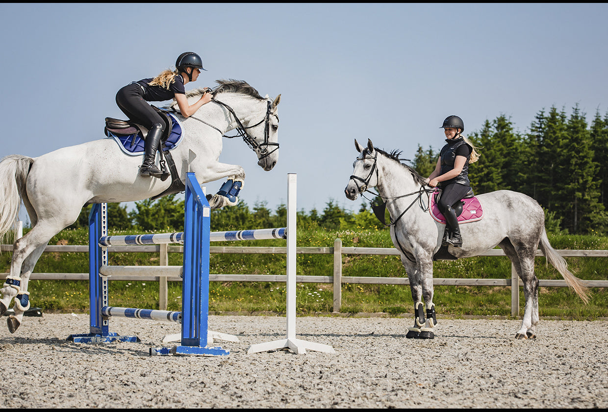 SD Design saddle pad My Passion divine rose