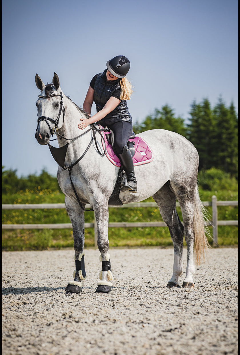 SD Design saddle pad My Passion divine rose