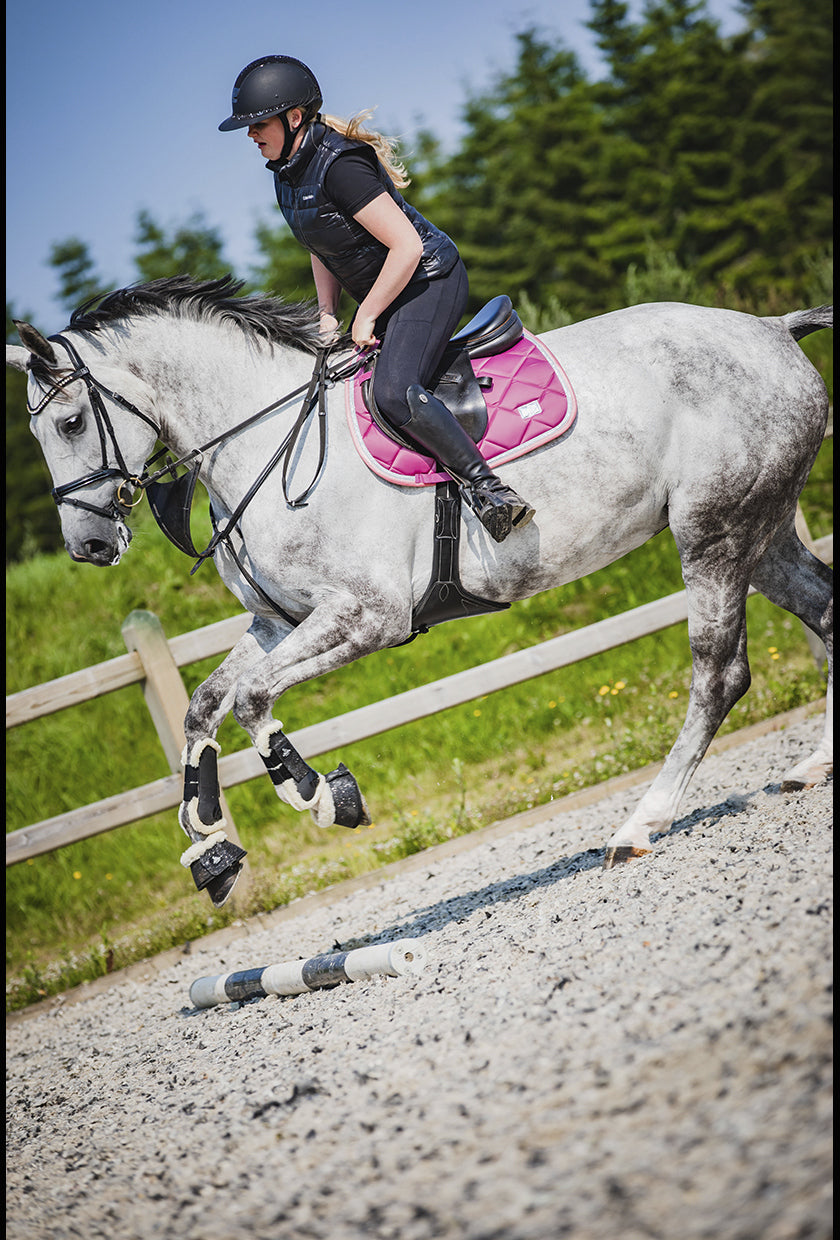 SD Design saddle pad My Passion divine rose