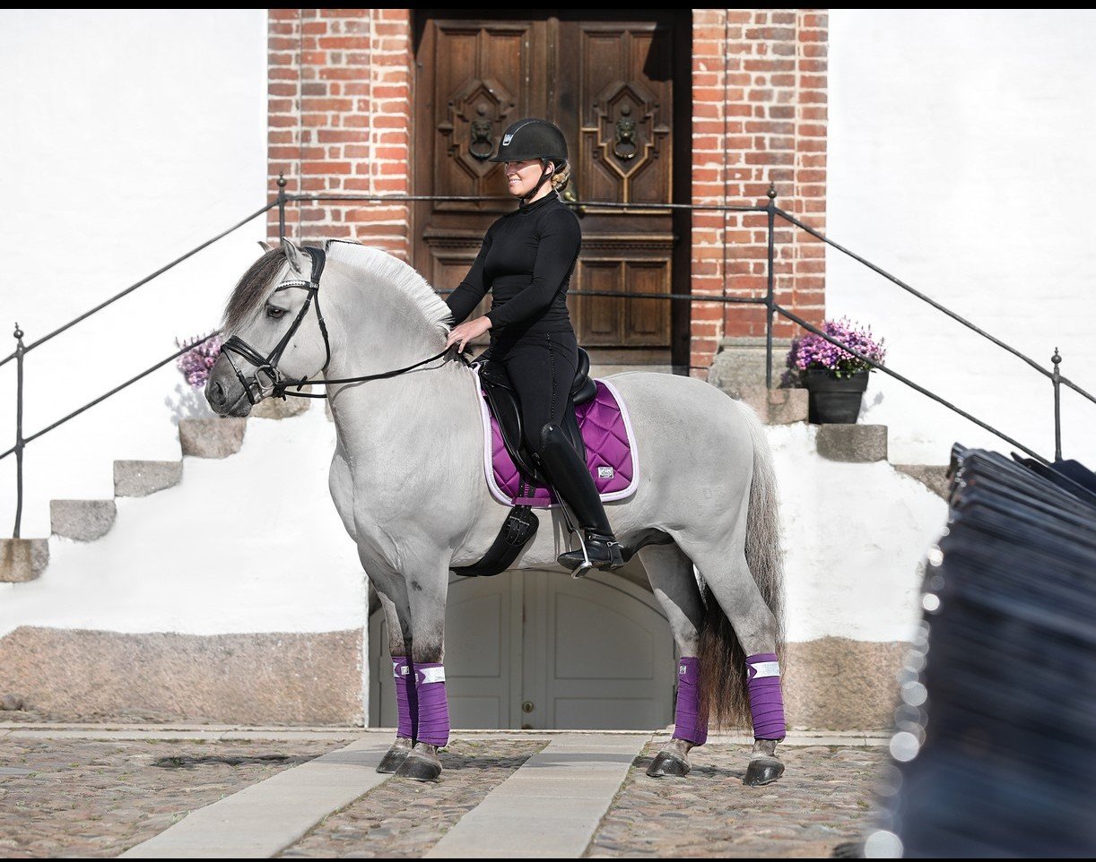 SD Design Schabracke My Passion purple dream