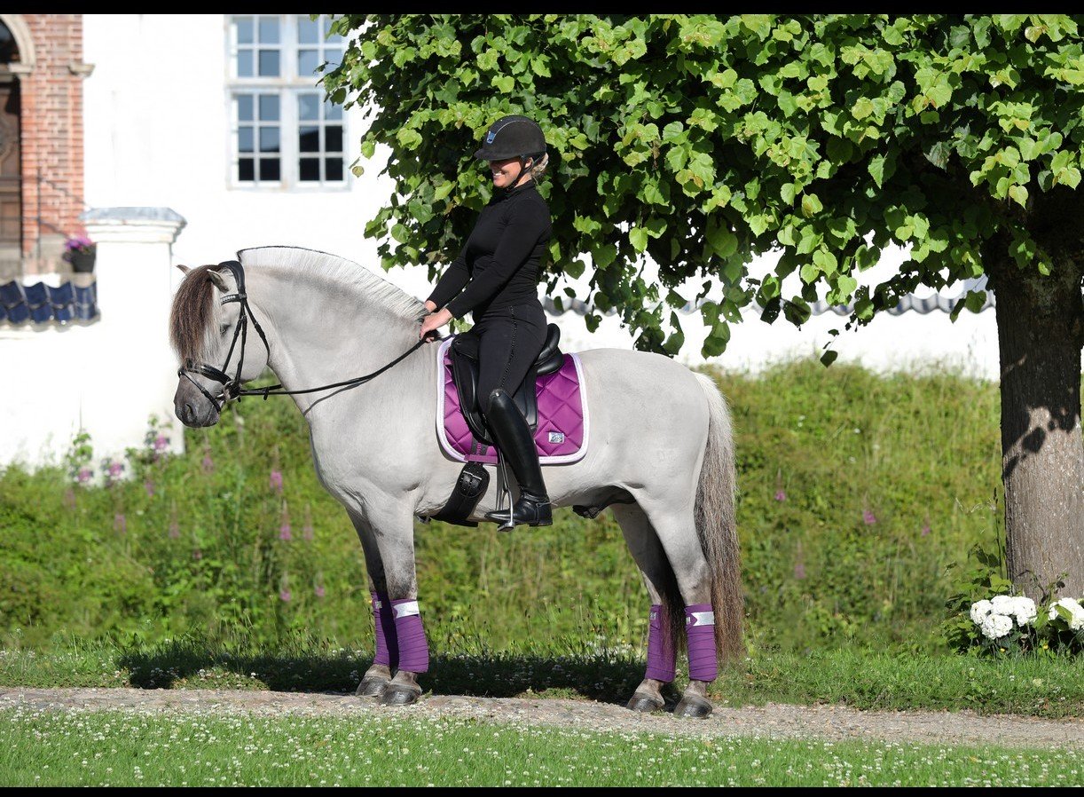 SD Design Schabracke My Passion purple dream